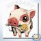 HOBBART Lite. Piggy. Мини пиги